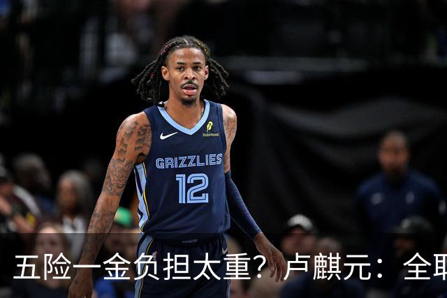 五险一金负担太重？卢麒元：全取消，征房产直接税，经济才会正常