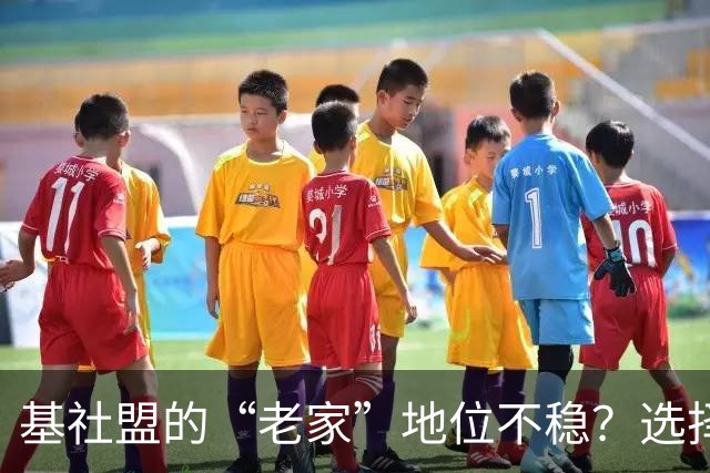 基社盟的“老家”地位不稳？选择党巴伐利亚州支持率创新高